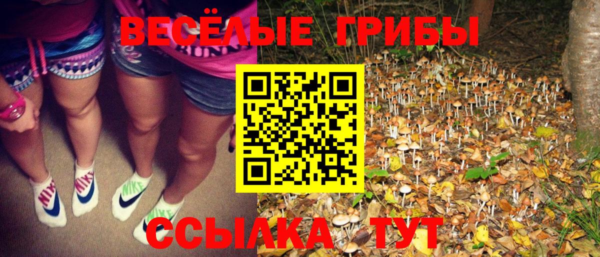 Псилоцибиновые грибы MAGIC MUSHROOMS Иваново